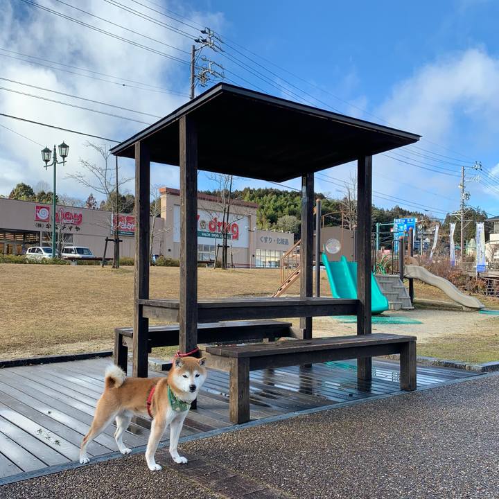 7e504e22 e44b 428d b1dd 551715aff0a7 1613379534382