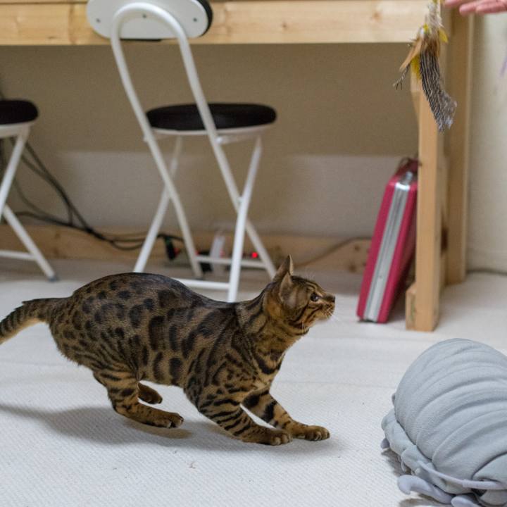 7e507745 e319 4808 a864 5b86fbb34181 1518961787454