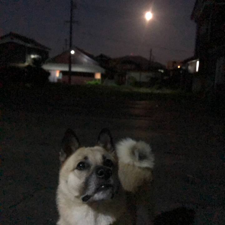 7e50915c 141f 4130 8b77 0beff7c80e87 1632046686362