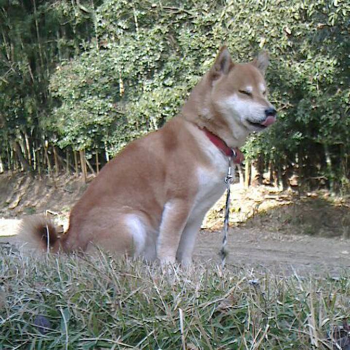 7e509958 2832 47bf ba12 b19945507ce3 1517837817846