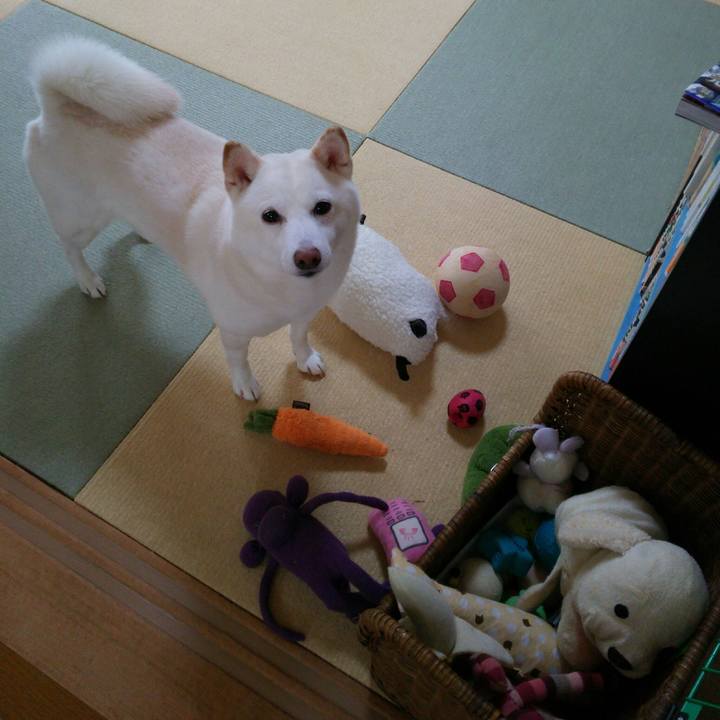 7e50b17a f6a9 4630 a298 2b740361d39f 1549073005201