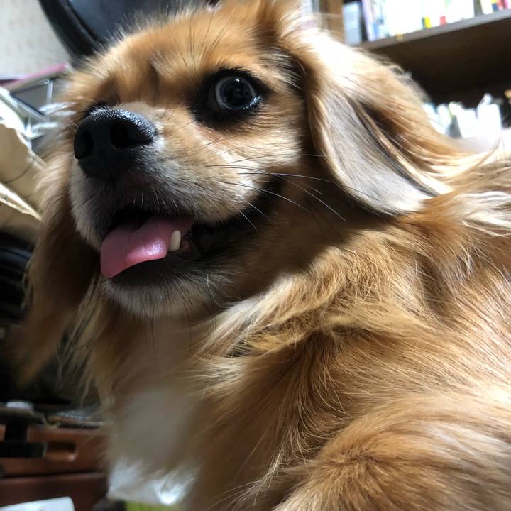 7e50dac5 8816 4184 bec2 9be876b629e2 1533764401745