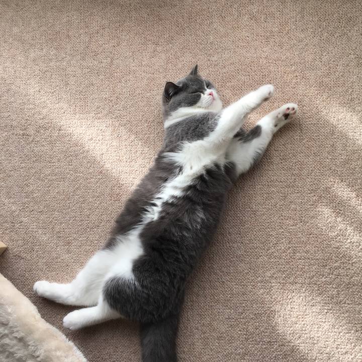 7e511650 f95c 4d58 9652 820835a69385 1510990861900