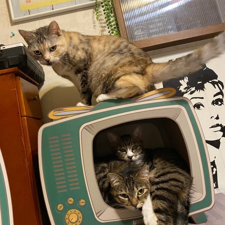 7e513110 314c 4111 939e 89a62e853b83 1632351057943