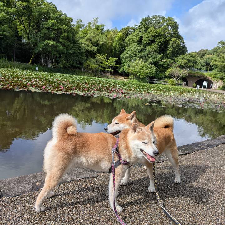 7e5136c9 1250 4dcc 9074 a1f7842eaf49 1752727797201