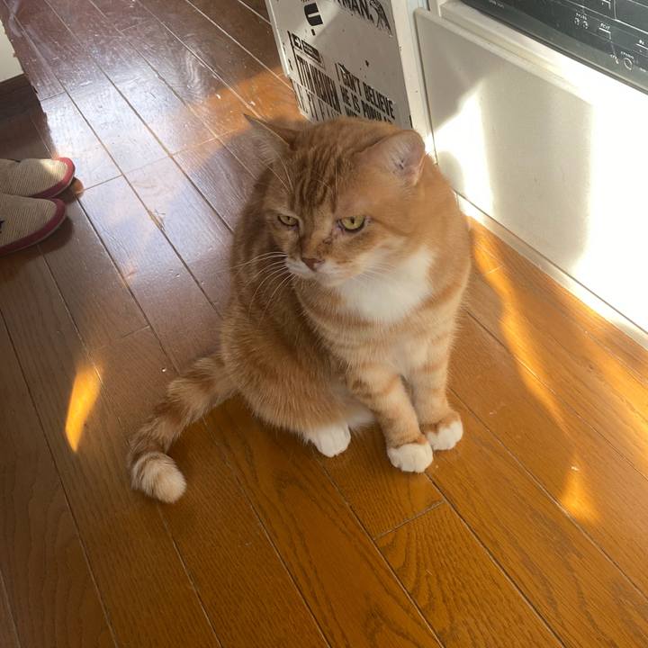 7e513e78 c47d 4fbe 9c7a 6a6ff479b3b9 1638157588728