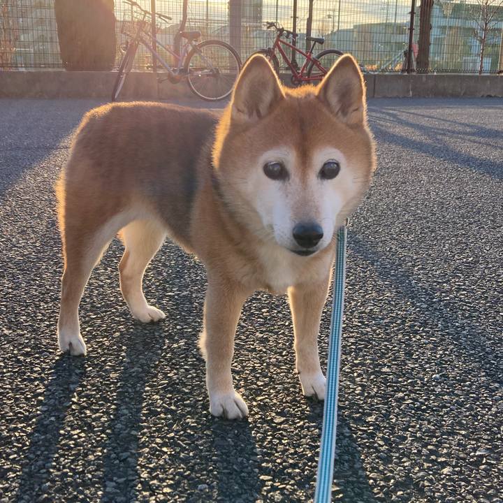 7e514568 8391 4ff6 a882 7c868ae618d8 1737545322249