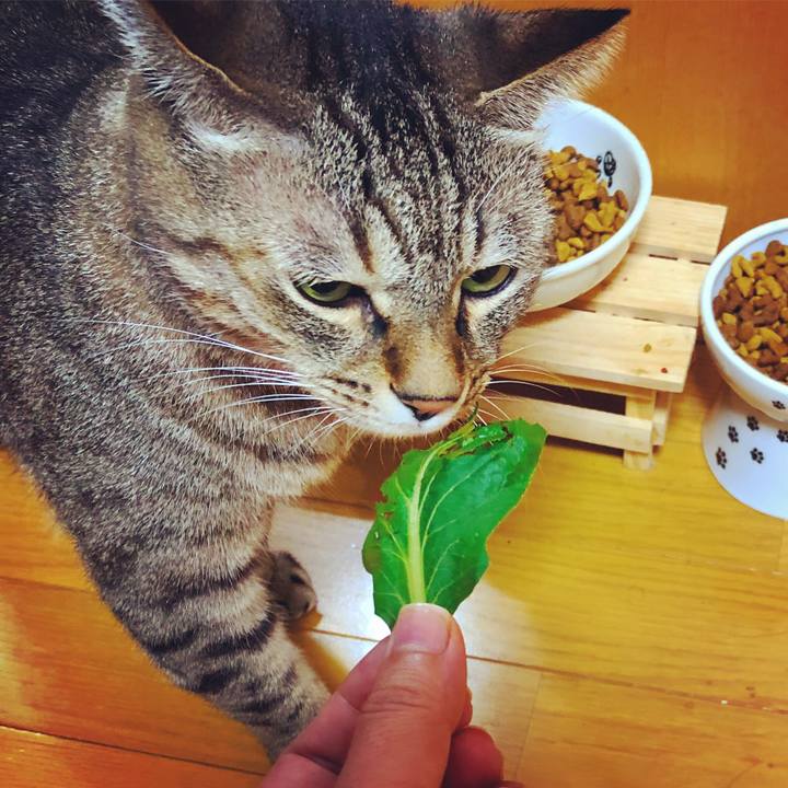 7e5182ee 724c 45b9 9e48 b75353dd0d17 1561590700663