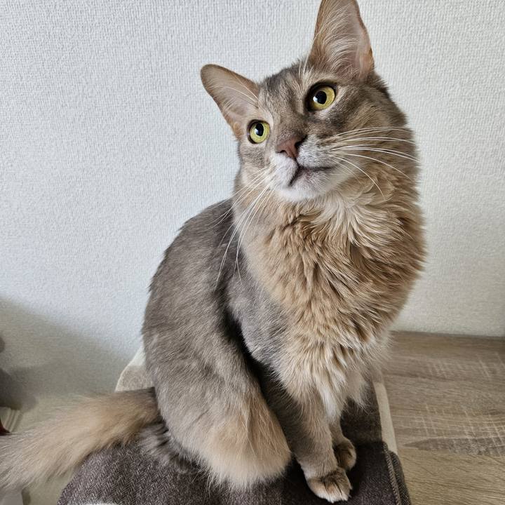 7e51b63c 7d37 4ec0 a1a7 c0953abf0e6a 1710723317653