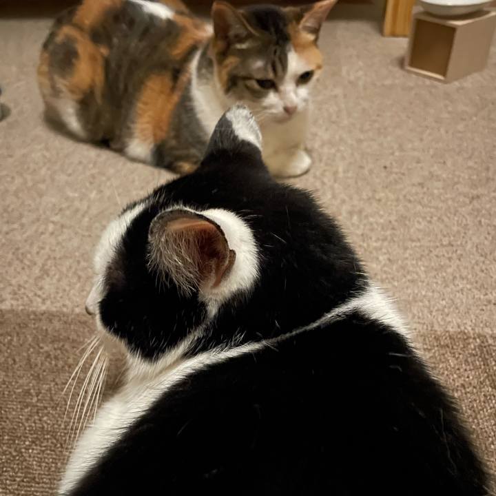 7e51c563 5830 4d0f a4e7 3bff189e04c2 1714655966866