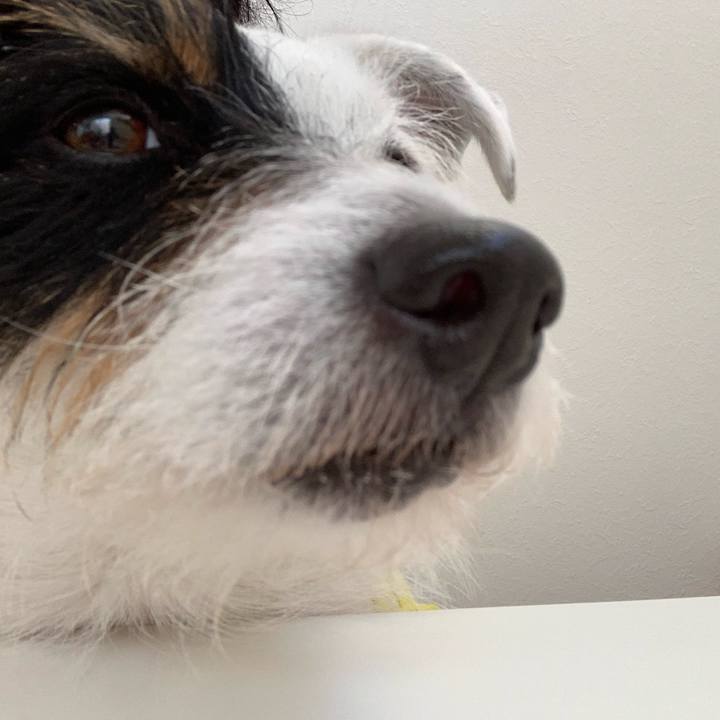 7e51ebb8 e94b 4f83 9820 d40989e48ece 1554028737442