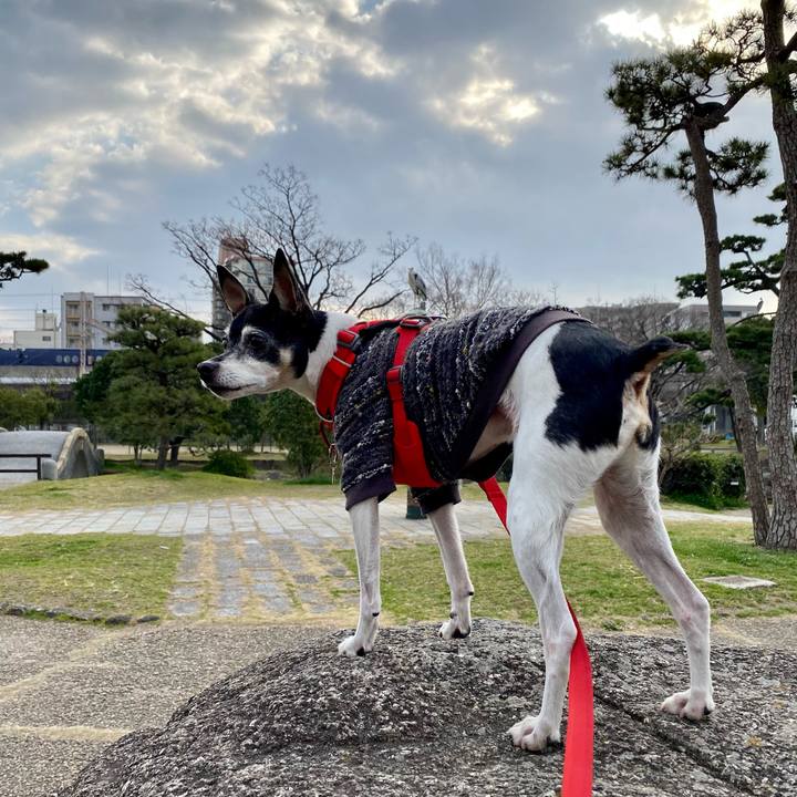 7e524cd2 aaf3 4b3e a32d 916097f522ee 1614037519095