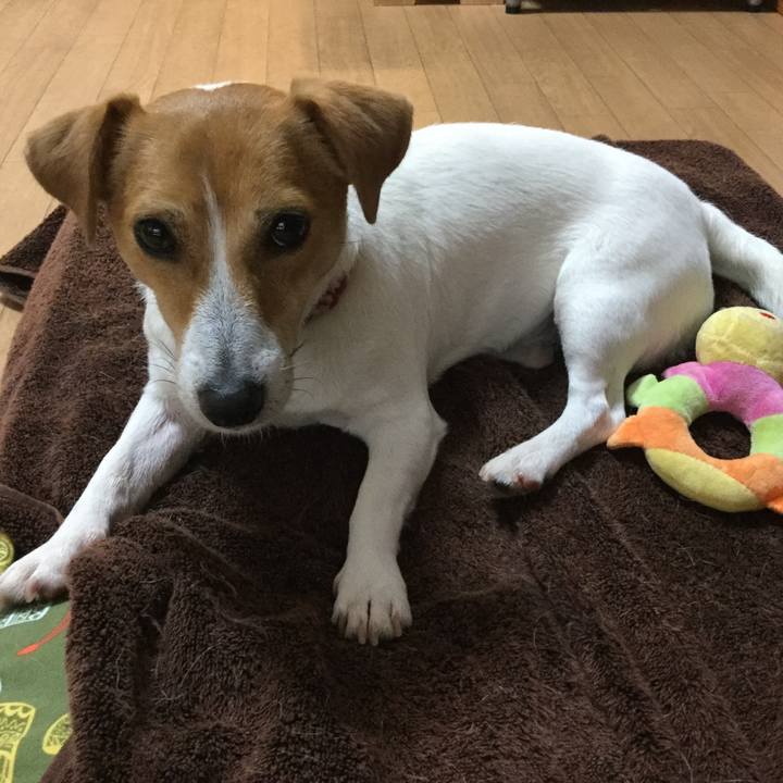 7e525f61 880f 4cf8 98b4 a1b05f076f58 1561160810381