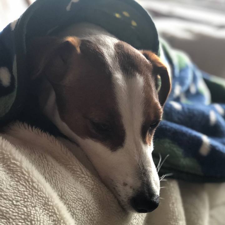 7e529795 dc7b 4fb6 a7a5 2d733f5ba0fc 1551693821564