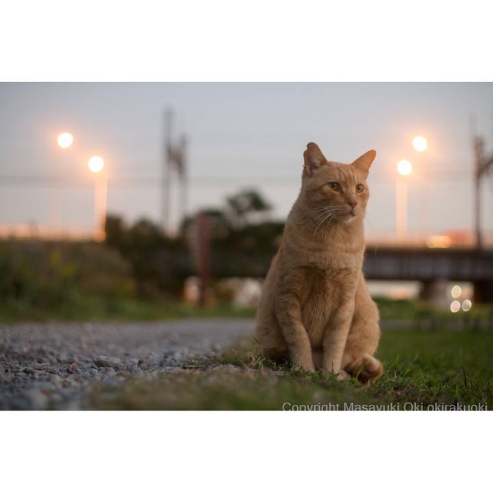 7e52a678 8fae 4452 a104 3861f6f32322 1507807401067