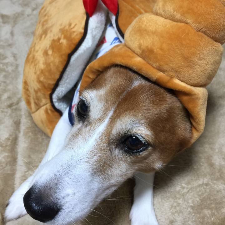 7e52e14f d893 4cf6 a779 41139dd56601 1510232856730