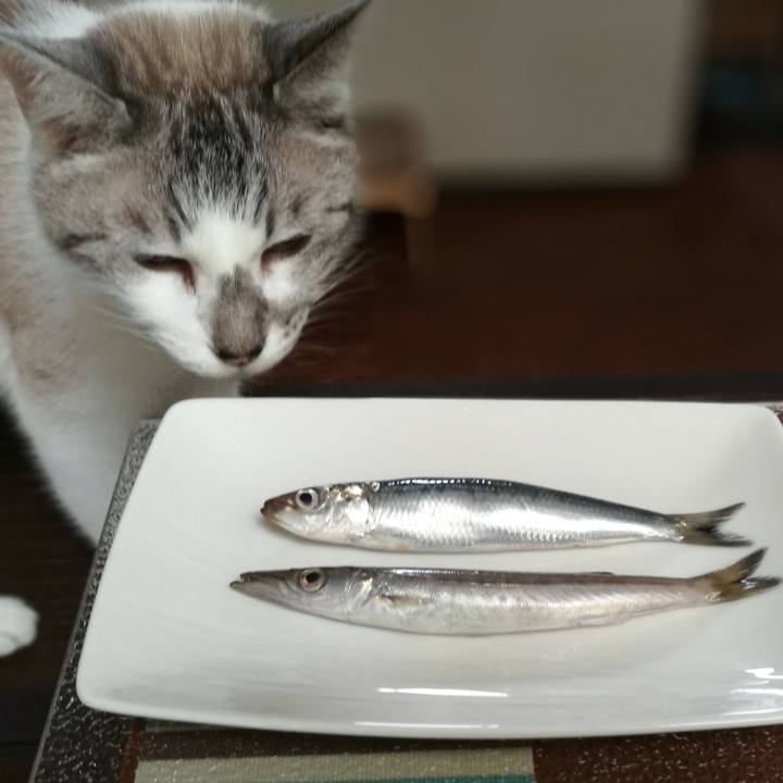 7e52ebf1 acb6 4828 8d18 0d8cfcd8061d 1563440756719