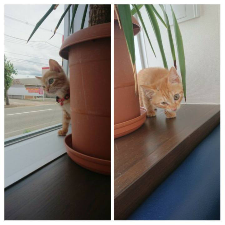 7e532a96 4479 4a2b 961b 43f75594cdfb 1628476212056