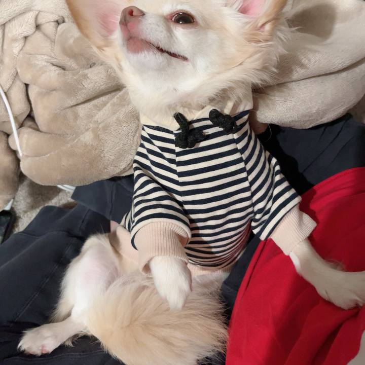 7e533d18 be9c 472e 8a96 ff9f6330d940 1729049069027