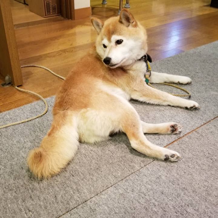 7e537578 610b 4629 bac6 278129fb33c3 1594800533772