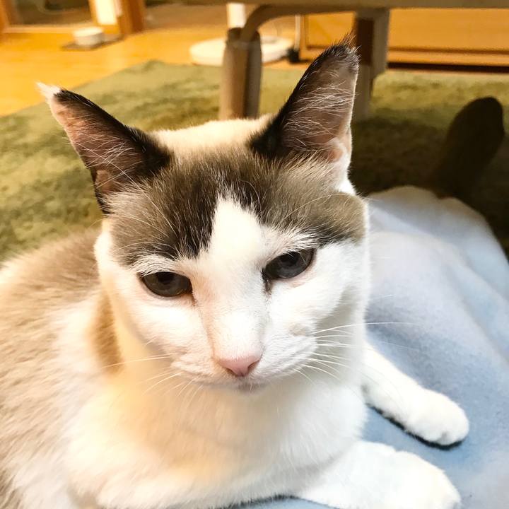 7e539688 a9fc 4c41 b12b c47ed6f67a06 1577671032331