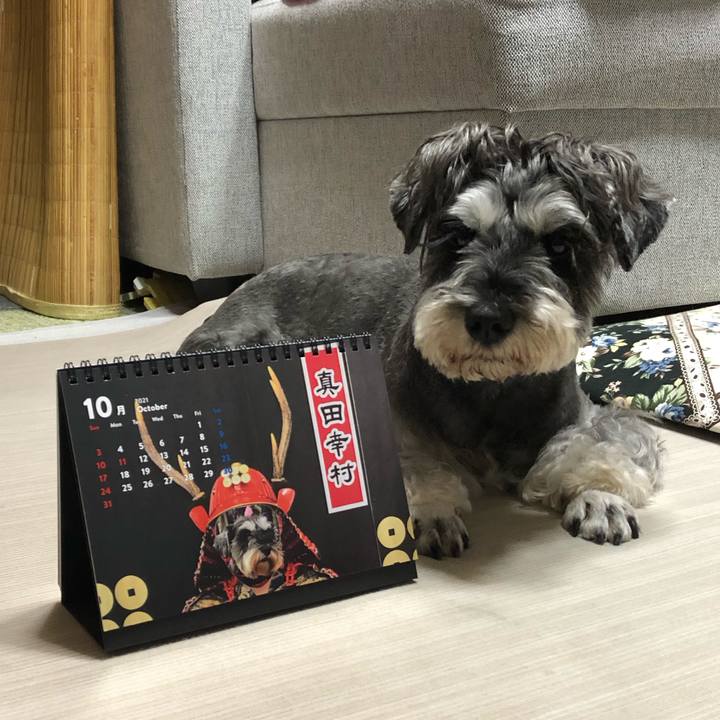 7e53ae28 4323 442f 8a66 db0b5c94d9c7 1633087302668