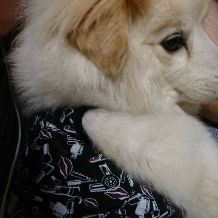 7e53dde5 6ef4 4cd6 8a69 3748ee568105 1533795351548