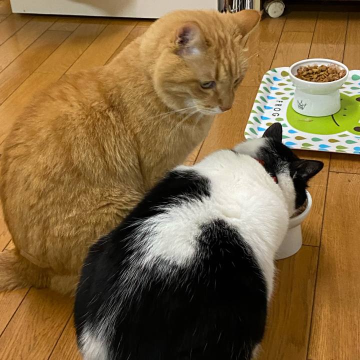 7e541251 4c64 492e 9878 e0e390b0c979 1608509210460