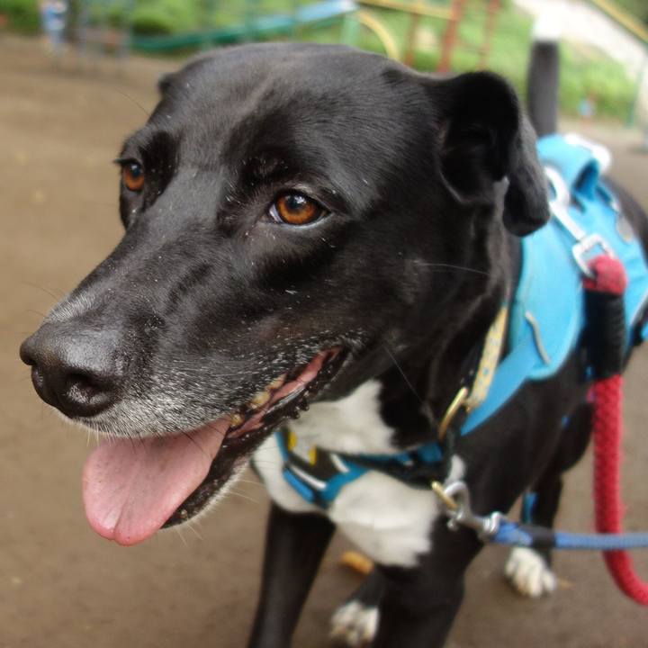 7e546739 0169 4a45 b235 ed9daf86dbbf 1631234313369