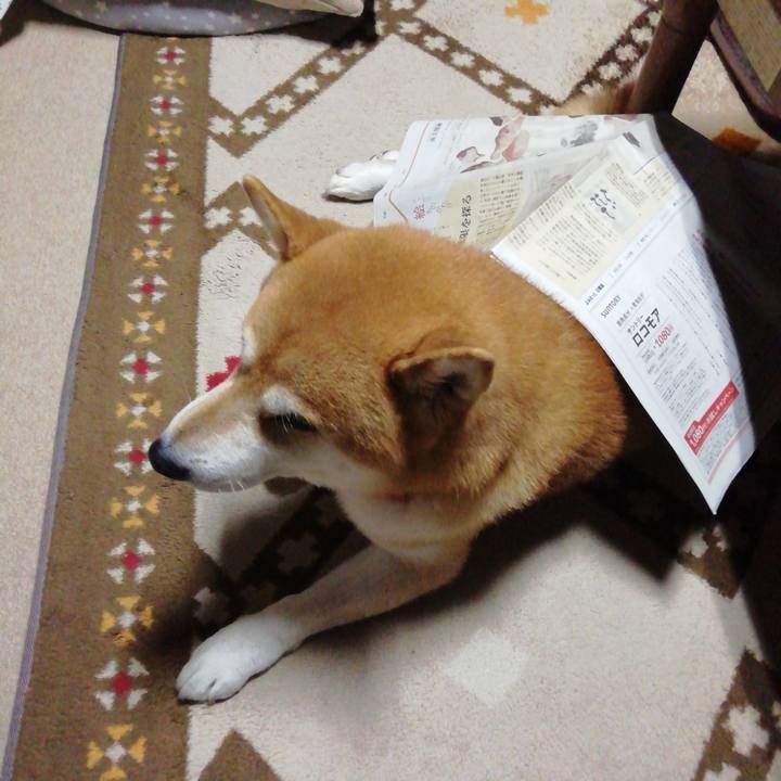 7e548340 f4b3 49cd 8f61 c6ac59d538a0 1635295769929