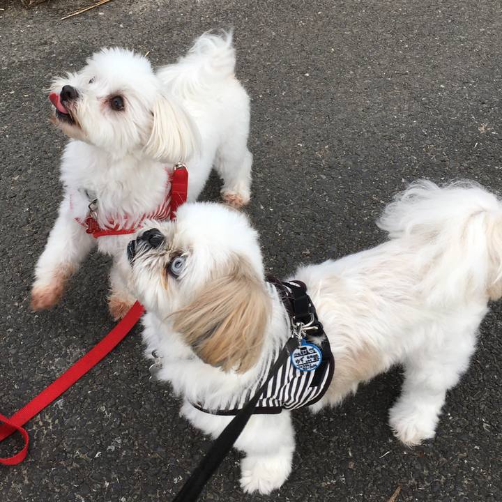 7e54dc9d 4a36 4937 8f25 f5ae00acba31 1599432763429