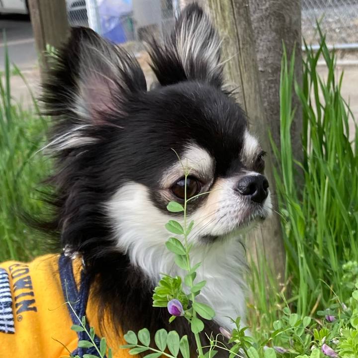 7e5500e1 6eb3 487b 88e5 be1dd643491d 1680446928021