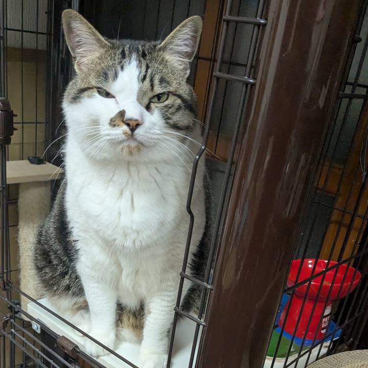 7e5518f0 639d 4de8 befa 6c287c8117fa 1748515990610