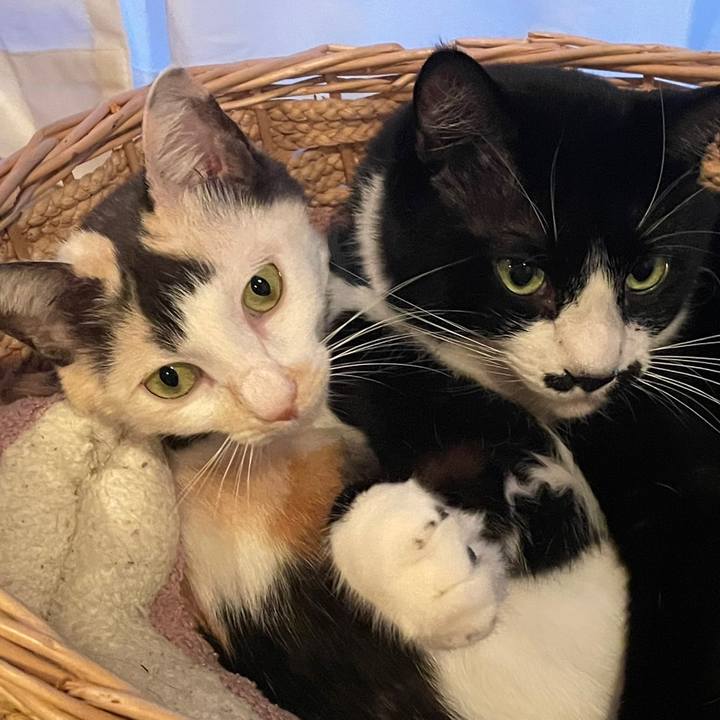 7e552482 2fb9 474d b66a f2530129dba8 1730897032454