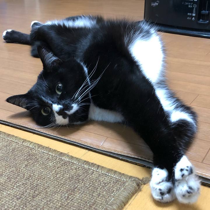 7e55aaaf a57e 41cc b4ee c256a5f344fb 1617853193645