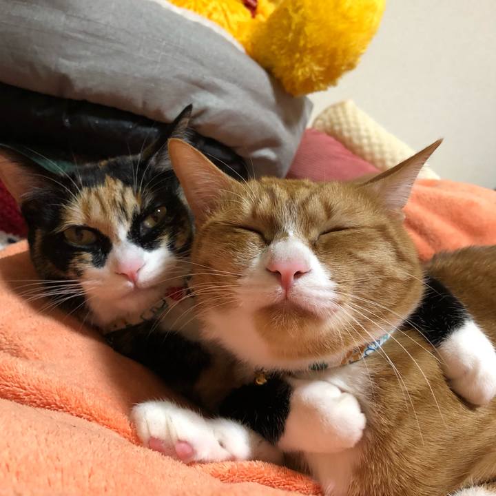 7e55ae4c 8c2c 45db 8ada c8e5177f527a 1577705577171