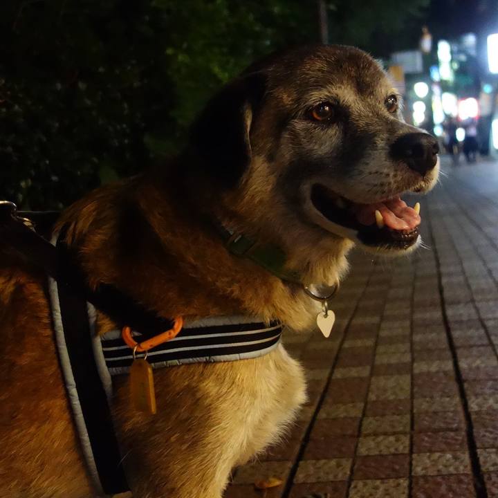 7e55ae7b f8b4 4200 aafd b84f5876e77c 1570281866452