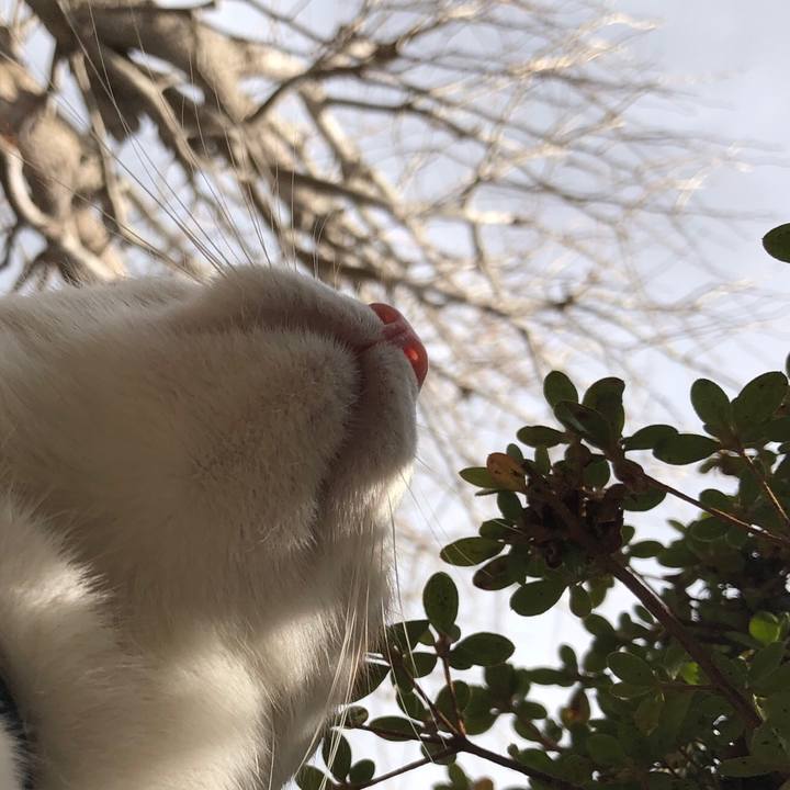 7e55e45e 4864 4b02 85ca 4661d95cc4f6 1550134365083