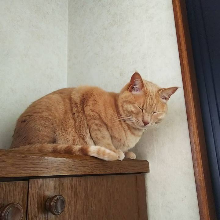 7e55e9ed 5574 44d3 88c7 1c1b80418f5a 1621814414828