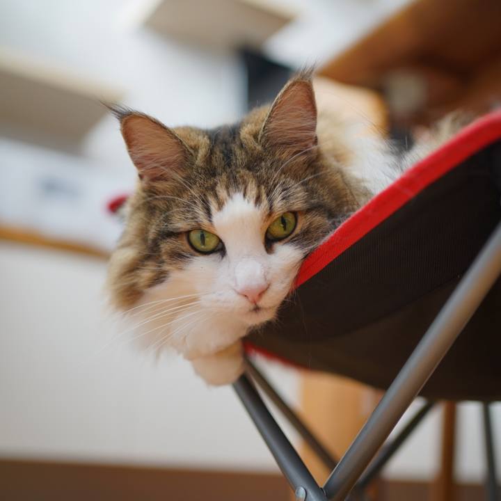 7e561729 9abb 4fba 9287 c93b961ee5e8 1693552952747