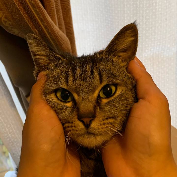 7e561b52 12fb 4588 ae98 37e719f75e76 1575192061427