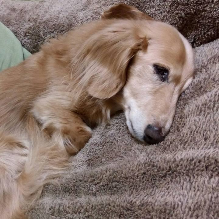 7e5625e4 9cdb 4ac1 a1a5 5cfd3d4a99d2 1544859237342