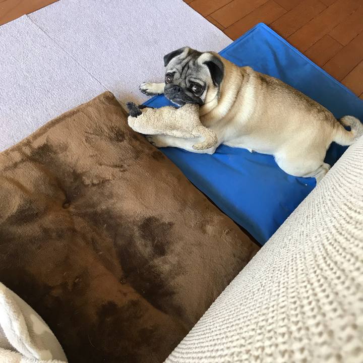 7e566a04 2dfb 48bb b245 87f3b5a9e0c6 1526777250388