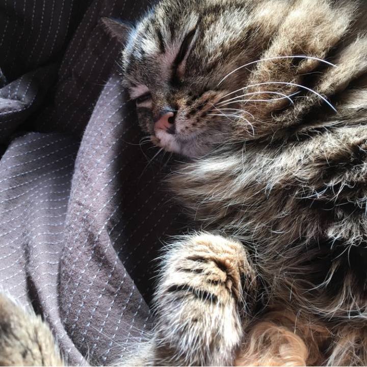 7e56a135 1da0 44bd 946a b341ce554509 1771807488517