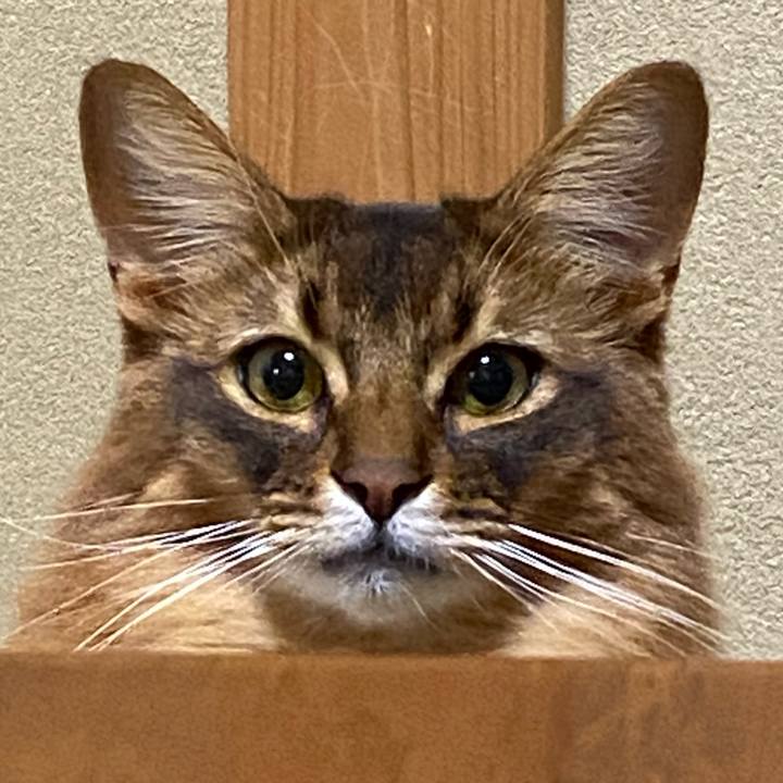 7e56acb6 8acc 46a0 8e2f 1a0420e6248f 1641641599432