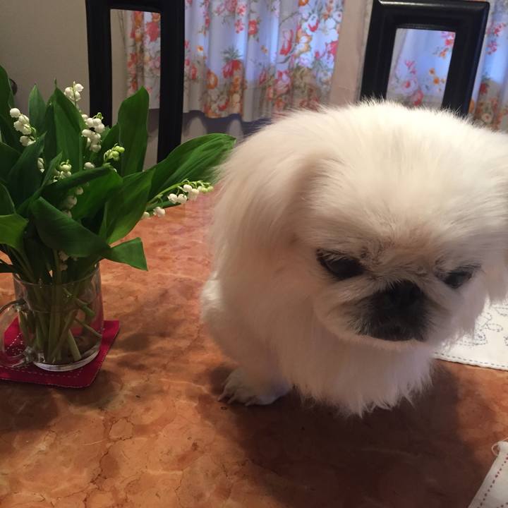 7e56c661 920c 46c6 9507 708dac0414d5 1557278371507