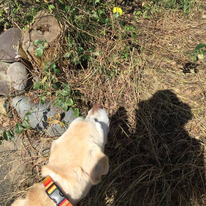 7e56d177 759a 418b bd15 f2c70a598844 1537930387055