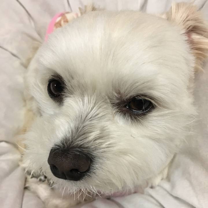 7e56d372 b3a3 4780 b37d 801a05fc3a2d 1526209704511