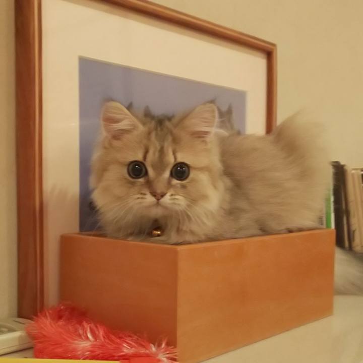 7e56d7b5 186d 40ac a004 17c312f8a6ff 1558521788645