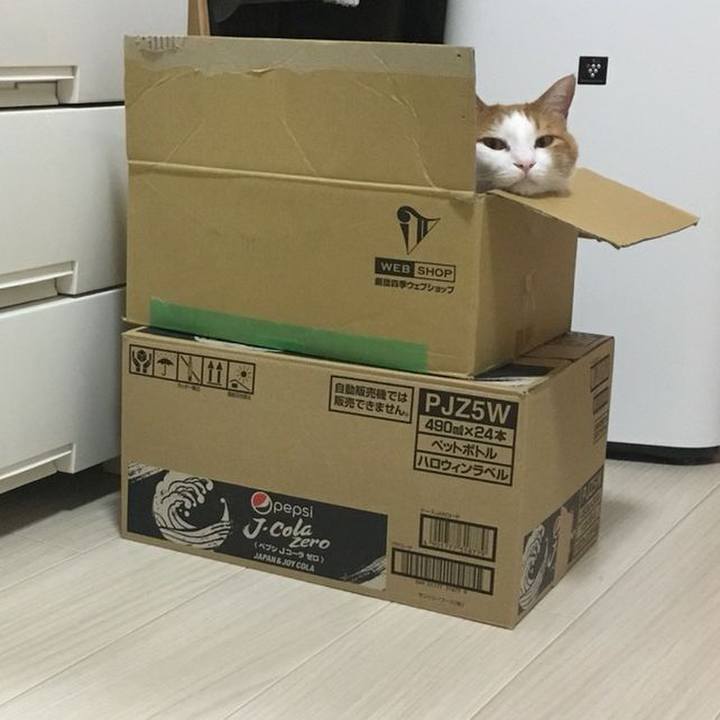 7e571e5b a096 4149 9786 82e16cbb296c 1539261627563